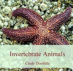 Cover Invertebrate Animals (eBook, PDF)