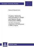 Clusters, Networks, and Innovation in Small and Medium Scale Enterprises (SMEs) (eBook, PDF)