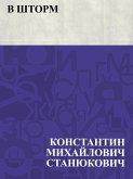 V shtorm (eBook, ePUB)
