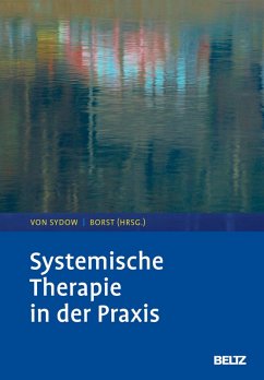 Systemische Therapie in der Praxis (eBook, PDF)