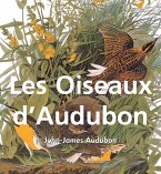 Les Oiseaux d'Audubon (eBook, ePUB)