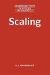 Scaling (eBook, ePUB) - Bild 1