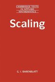 Scaling (eBook, ePUB)