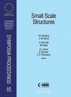 Small Scale Structures (eBook, PDF)