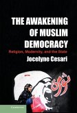 Awakening of Muslim Democracy (eBook, ePUB)