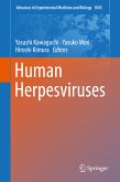 Human Herpesviruses (eBook, PDF)