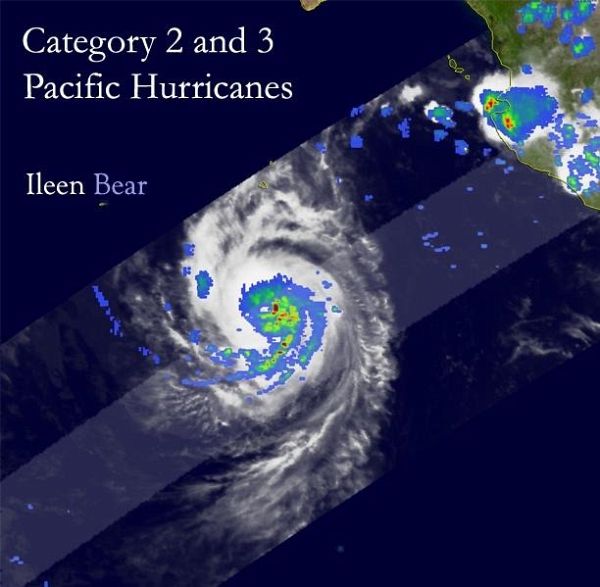 Category 2 and 3 Pacific Hurricanes (eBook, PDF)