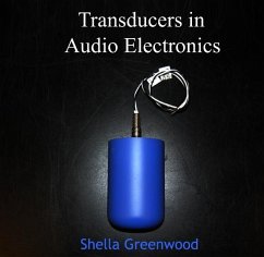 Cover Transducers in Audio Electronics (eBook, PDF)