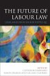 The Future of Labour Law (eBook, PDF) - Bild 1