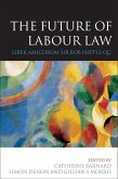 The Future of Labour Law (eBook, PDF)
