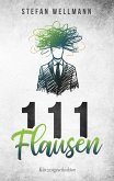 111 Flausen (eBook, ePUB)