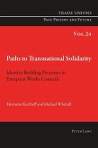 Paths to Transnational Solidarity (eBook, ePUB)