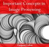 Important Concepts in Image Processing... - Bild 1