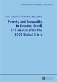 Poverty and Inequality in Ecuador, Brazil and Mexico after the 2008 Global Crisis (eBook, PDF)