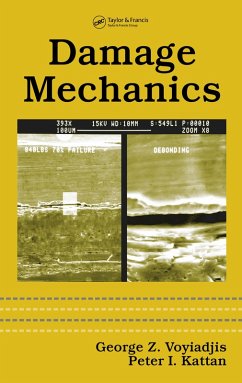Damage Mechanics (eBook, PDF) - Voyiadjis, George Z.; Kattan, Peter I.