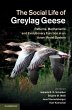 Social Life of Greylag Geese (eBook,... - Bild 1
