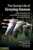 Social Life of Greylag Geese (eBook, ePUB)