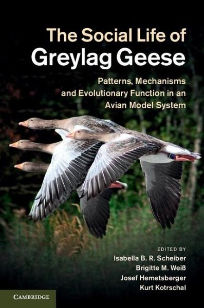 Social Life of Greylag Geese (eBook, ePUB) Social Life of Greylag Geese (eBook, ePUB)