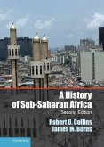 History of Sub-Saharan Africa (eBook, ePUB)