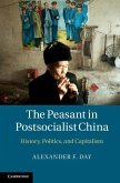 Peasant in Postsocialist China (eBook, ePUB)