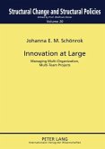 Innovation at Large (eBook, PDF)