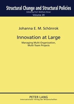 Innovation at Large (eBook, PDF) - Schonrok, Johanna