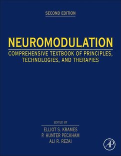 Cover Neuromodulation (eBook, ePUB)