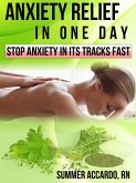 Anxiety Relief in One Day (eBook, ePUB)