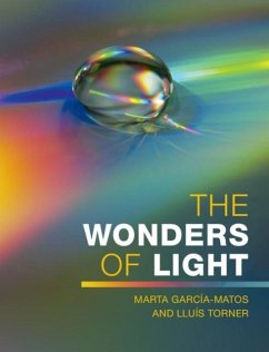 Wonders of Light (eBook, PDF) - Garcia-Matos, Marta