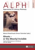 Ghosts - or the (Nearly) Invisible (eBook, ePUB)