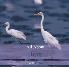 Cover All About Birds (eBook, PDF)