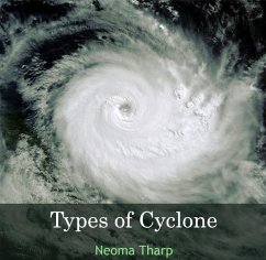 Cover Types of Cyclone (eBook, PDF)