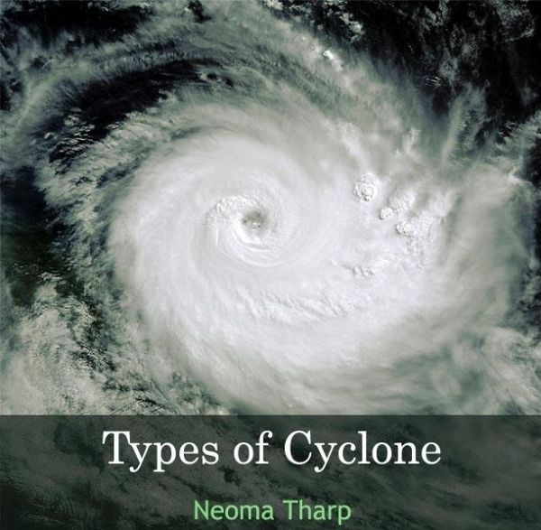 Types of Cyclone (eBook, PDF)