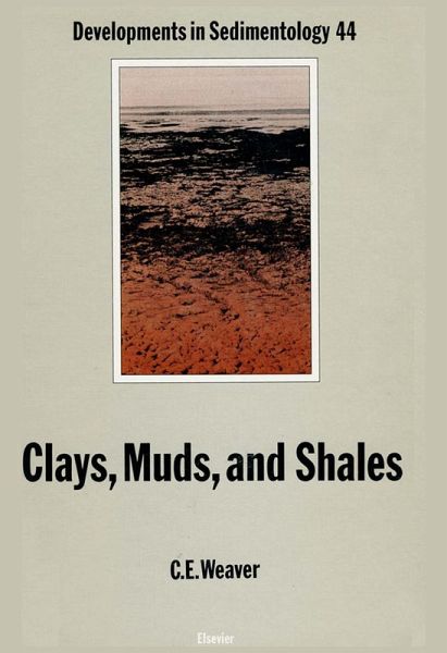 Clays, Muds, and Shales (eBook, PDF)