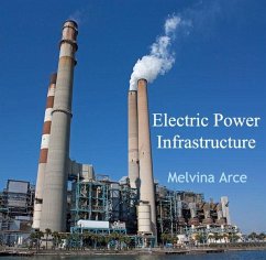 Electric Power Infrastructure (eBook, PDF) - Arce, Melvina