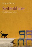 Seitenblicke (eBook, ePUB)