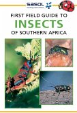Sasol First Field Guide to Insects of Southern Africa (eBook, PDF)