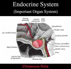 Cover Endocrine System (Important Organ System) (eBook, PDF)