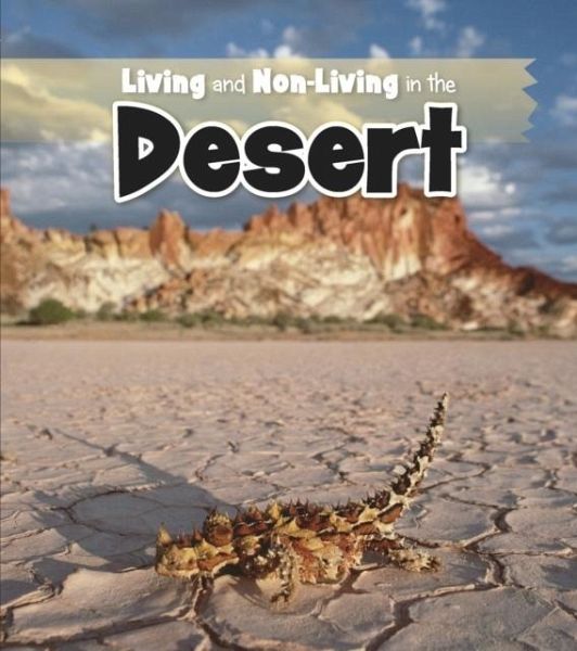Living and Non-living in the Desert (eBook, PDF)