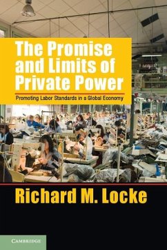 Promise and Limits of Private Power (eBook, ePUB) - Locke, Richard M.