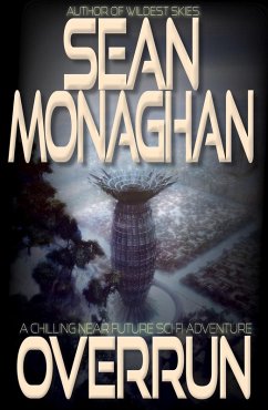 Cover Overrun (eBook, ePUB)