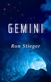 Gemini (eBook, ePUB)