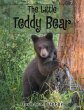 The Little Teddy Bear (eBook, ePUB) - Bild 1