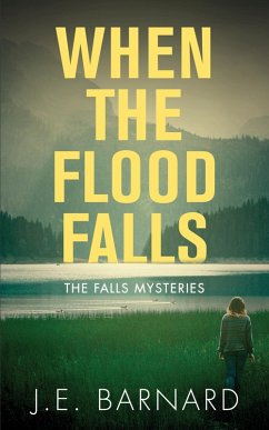 Cover When the Flood Falls (eBook, ePUB)