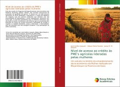 Nível de acesso ao crédito às PME¿s agrícolas lideradas pelas mulheres - Joaquim, Jose Amilton;Rosário, Nelson Maria;Joaquim, Joana M. M.