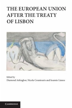 Cover European Union after the Treaty of Lisbon (eBook, ePUB)