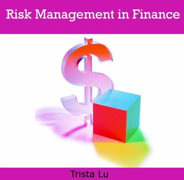 Risk Management in Finance (eBook, PDF)