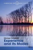 Experience and its Modes (eBook, ePUB) Experience and its Modes (eBook, ePUB)