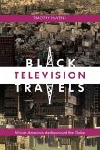 Black Television Travels (eBook, PDF)