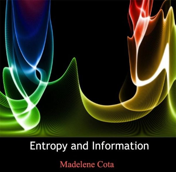 Entropy and Information (eBook, PDF)